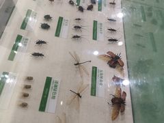 -石家庄市植物园