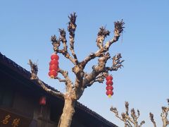 -蒋氏故居