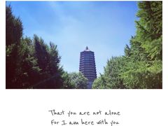 -玲珑塔公园