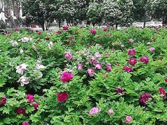 -西安交大南洋大酒店(交通大学青龙寺店)