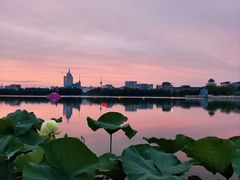 -莲花池公园
