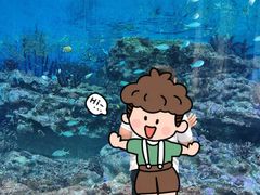 -上海海昌海洋公园