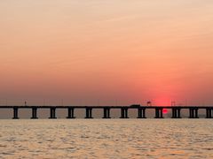 -宝安西湾红树林湿地公园