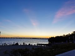 -宝安西湾红树林湿地公园