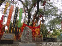 -大槐树寻根祭祖园