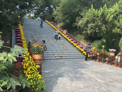 -菊花台公园