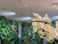 -Peet's Coffee皮爷咖啡(德基店)