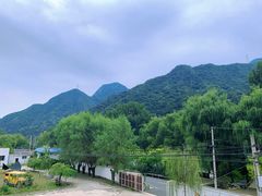 -遇见小院—虹鳟鱼•农家菜(怀柔店)