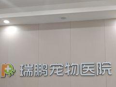 -瑞鹏宠物医院·骨外科·心肾科·肿瘤科(九亭店)
