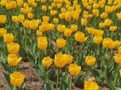 -长春公园(普阳街道)