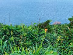 -东极岛景区
