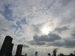 -府河摄影公园