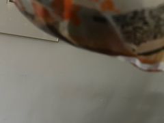 -龙湖重庆时代天街