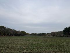 -丹樱生态园