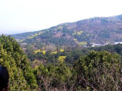 -香山公园