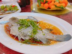 青蒸海鲈-旺富东海大酒楼(海鲜街店)