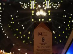 -影汇之星8字形摩天轮