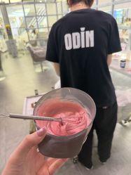 -ODIN 奥丁形象设计 