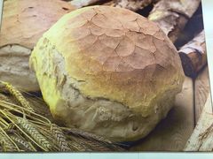 -秋林食品(秋林公司店)