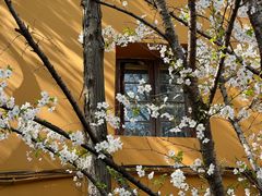 -龙华寺