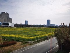 -三垟湿地