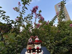 -ZIYUE CAKE线上店