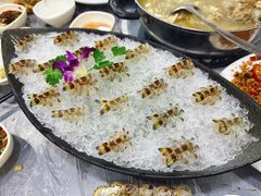 -富来美食