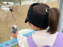 -盐城丹顶鹤湿地生态旅游区