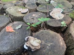 -同里国家湿地公园