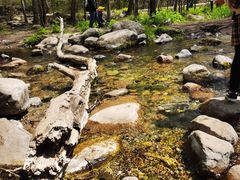 -玉渡山自然风景区