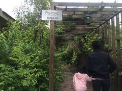 -银树楼(紫玉山庄东区店)