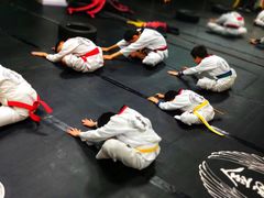 -金翼跆拳道巴西柔术拳击格斗学院