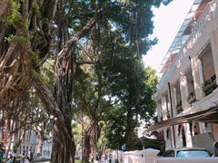 -星巴克臻选(广州沙面店)