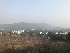 -香雪海