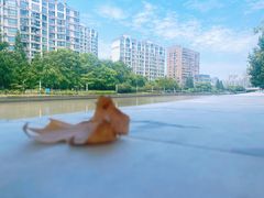 -苏州河梦清园环保主题公园