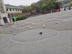 -莫干山风景区