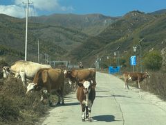 -云座·时光·观景咖啡厅(五爷庙店)