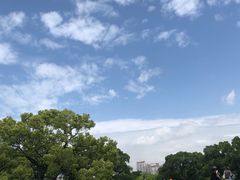 -江心屿景区
