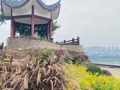 -大渡口区义渡公园