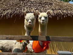 -珠海海泉湾神秘岛亲子乐园