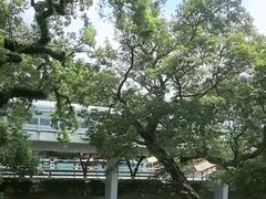 -广东胜利宾馆西关粤中餐厅