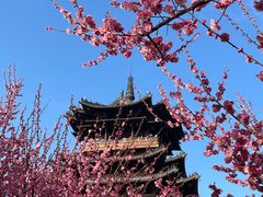 -杭州半山国家森林公园