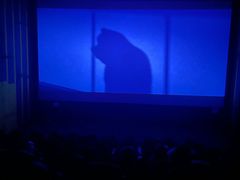 -博纳国际影城(淄博店)