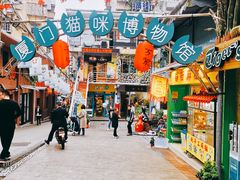 -猫咪博物馆(顶澳仔猫街店)