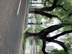 -沈阳南湖公园