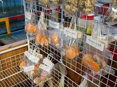 -蓝湾碧波·老字号·疍家非遗海上餐厅