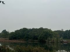 -白鹭湾湿地公园