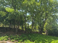 -宜兴龙背山森林公园
