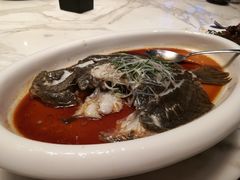 多宝鱼-顺德美的万豪酒店-万豪中餐厅