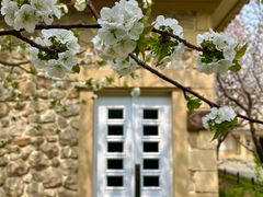 -北京张裕爱斐堡酒庄